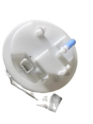 Pompe à carburant pour Citroën et Peugeot module complet 9674466680