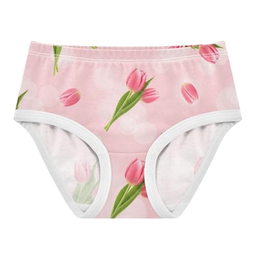 Girls Underwear Toddler 2t Cotton Panties for Girl Cartoon Briefs Kids Undies Pink Tulips Green Pastel Floral