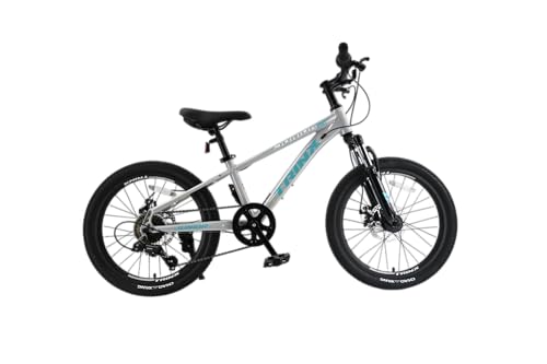 TRINX トリンクス 子供用マウンテンバイク　20インチ　中古　千葉県 TRINX トリンクス 子供用マウンテンバイク 20インチ 中古 千葉県