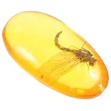 LIFKOME 人工昆虫標 レジン製 石装飾品 ドラゴンフライ インテリア用 昆虫サンプル 樹脂標 自然風デザイン 贈り物にも