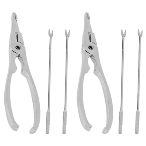 BUGUUYO Tenedores de Acero Inoxidable Diseño Reutilizable y Práctico para Mariscos Juego de 6 para Disfrutar de Cangrejos y Langostas en Casa