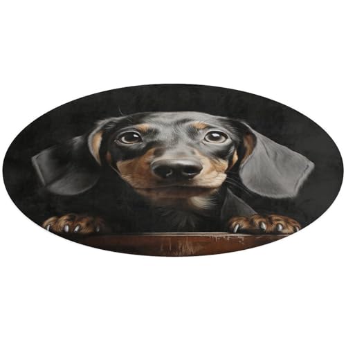 Alfombra de perro salchicha lavable para decoración de salón y dormitorio 2