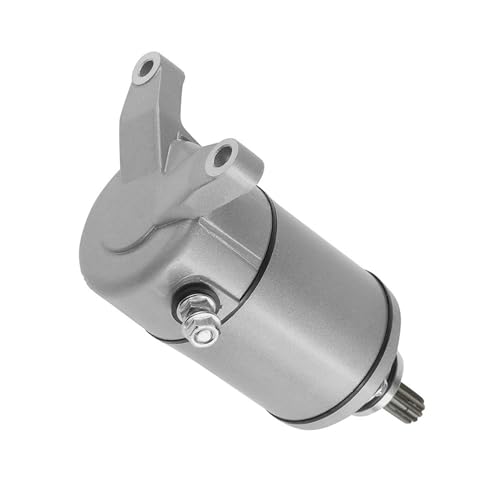 Démarreur pour quad LT-Z250 246 cm³ idéal pour les sorties outdoor