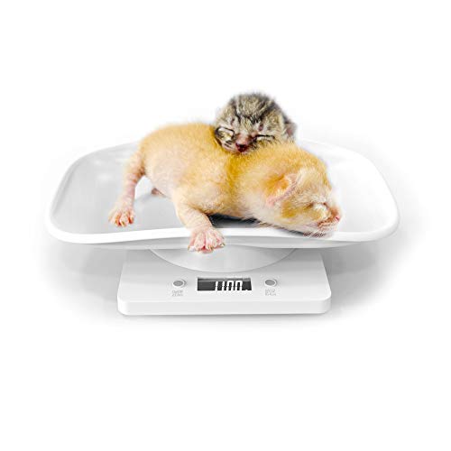 Best digital pet scale for cats Best of Review Geeks