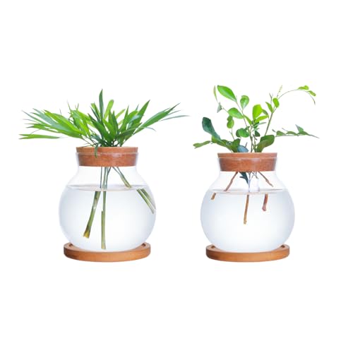 Tabletop Plant Propagation Station,Aquatic Plant Culture Glass Mini vase,with Wooden Dish?Gifts for Plant Lovers, Suitable for desks, House, Garden Decorations (2pcs)