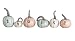 The Lakeside Collection 6-Pc. Thanks Pumpkin Set