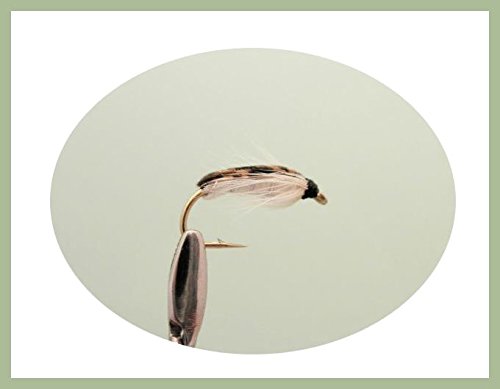 Corixa Nymph Trout flies, 12 Pack Mixed Size 10/12/14, For Fly Fishing