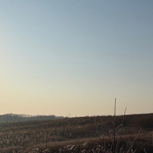 11.28 朝ライブ　セゾンと鹿猟