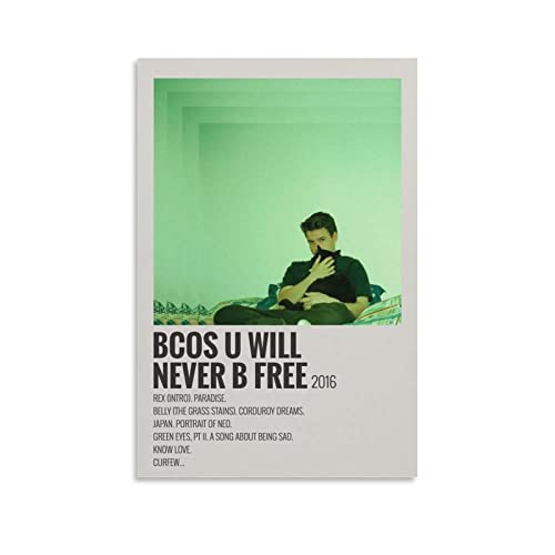 Poster Rex Orange County déco salon style musique indie moderne grand format