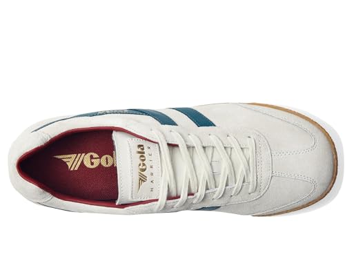 Image of Gola Harrier