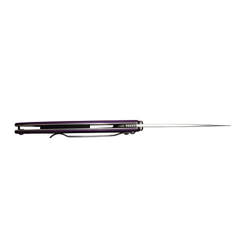 Kershaw Leek Purple Edc Pocketknife, 3" Sandvik 14C28N Steel Blade, Assisted Opening Folding Knife, Dual Lock System #TOP5