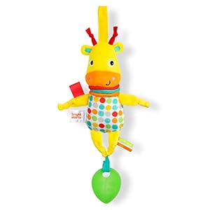 Bright Starts Pull and Play Toys