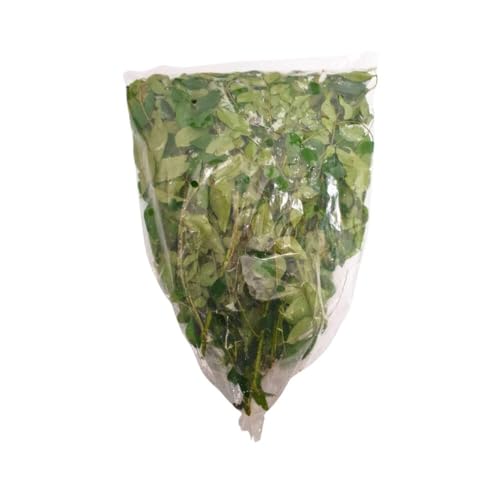 Fresh Curry Leaves 75g | Natural Curry Leaves | Kaddi Patta | Karapincha