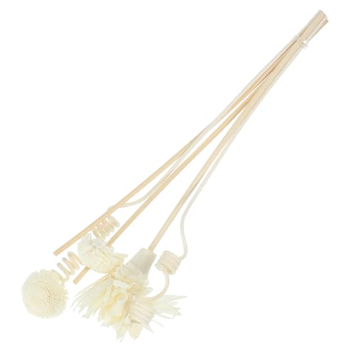 STOBAZA 1set Flower Diffuser Sticks Natural Dried Flower Design Decor for for Fragrance Diffusers Your Living Space