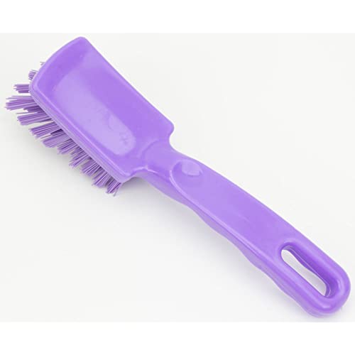 Image of SPARTA 41395EC68 Plastic Scrub Brush, Detail Brush, Kitchen Brush with Hanging Hole for Cleaning, 7 Inches, Purple, (Pack of 6)