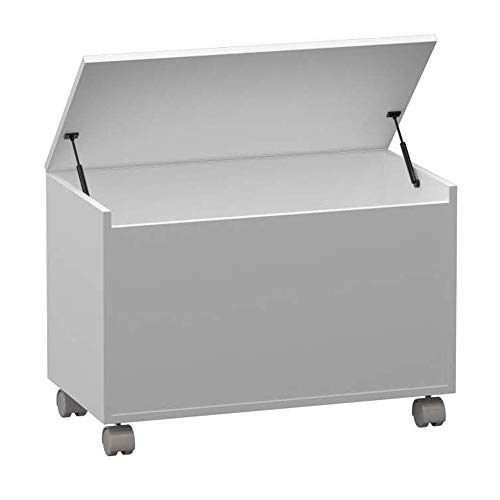 Baú Multiuso 43x75Cm C/Tampas Dobradiças Branco