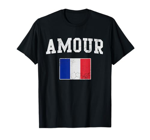 Francia Bandera Amour Francés Retro Fade France French Camiseta