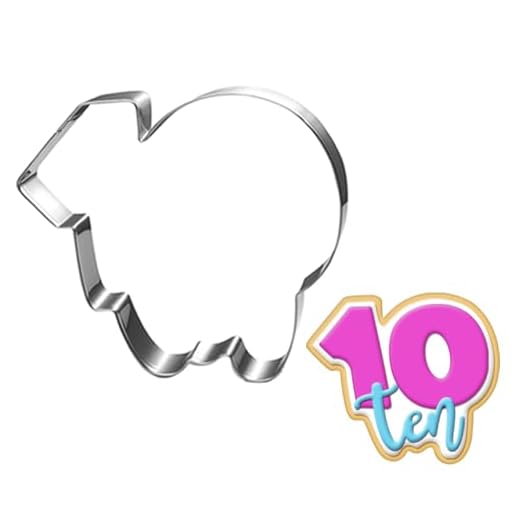 LUBTOSMN Large Number Ten Cookie Cutter with Word-4 Inch-Diswasher Safe-#10 Fondant Cookie Cutter Shape