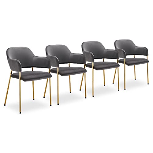 CLIPOP Esszimmerstühle Samt Gepolsterte Küche Freizeit Stühle mit Armlehne und Golden Chrom Beinen, Lounge Empfang Stuhl für Zuhause Wohnzimmer Schlafzimmer (4er Set, Grau)