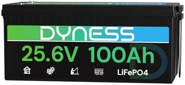 Dyness 24V 100Ah LiFePO4 Battery, 24V Lithium Battery with 2560W ...