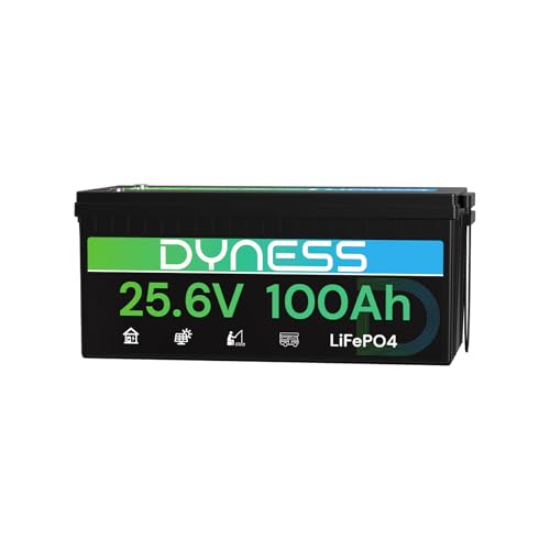 Dyness 24V 100Ah LiFePO4 Battery, 25.6V Lithium Battery with 2560Wh Power, Built-in 100A BMS with Low Temp Protection, Supports 4P2S Connection, Up to 20.48kWh, Perfect for RV, Solar System, Marine
