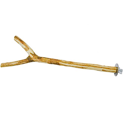 Niteangel Bird Cage Perches, Natural Wooden Branches for Cockatiels/Parakeets/Finches and Other Caged Birds