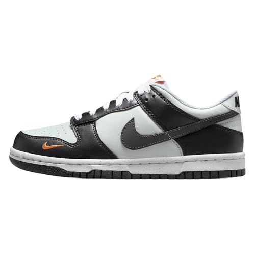 Nike Dunk Low Big Kids Shoes Size- 5