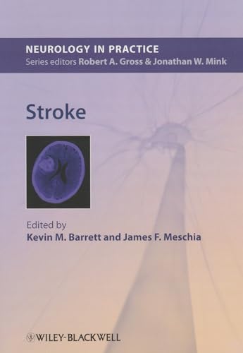 Stroke (Neurology in Practice) view 2