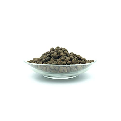 Bellfor Landgut-Schmaus Junior – Getreidefreies Trockenfutter für Welpen – 7,5 kg – Mit Insektenprotein, Hypoallergen & Besonders Verträglich für Junghunde