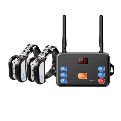 Clôture Sans Fil Pour Chien : Test Complet du Collier 2 en 1 Efficace