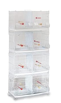best bird cages for breeding that will transform your avian experience 2 best bird cages for breeding