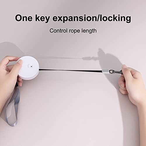 3m/9.8ft Hundeleine, Einziehbare Kleine Hunde Rollleine, Tragbar Automatische Dog Leash für Kleine Hunde, Katzen, Welpen, Kaninchen bis zu 5 kg(Arm-Band Farbe Zufällig)