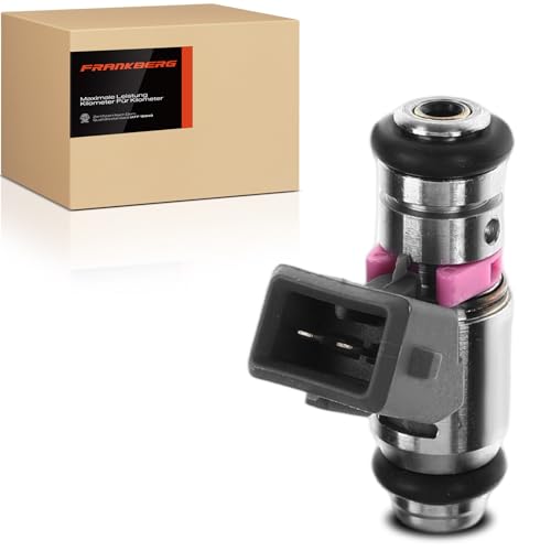 Frankberg Válvula de inyección Tobera de inyección Compatible con Kangoo KC0/1 1.2 16V Twingo I C06 1.2 16V Thalia I LB 1.2 16V Twingo I Furgoneta/Compacto S06 1.2 8200025248
