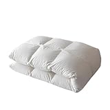 NSUQOA JSEIAJB Bedding Cotton Spring and Autumn Quilt Hotel Winter Quilt All Quilts with Goose Down Cored Quilt(4kg)