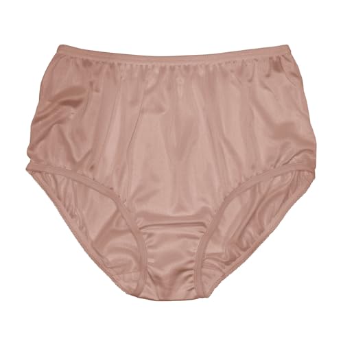 Image of Teri Women's 331 Plain Jane Classic Nylon Silky-Smooth Lightweight Breathable Full Coverage Brief Panty - 4 Pack