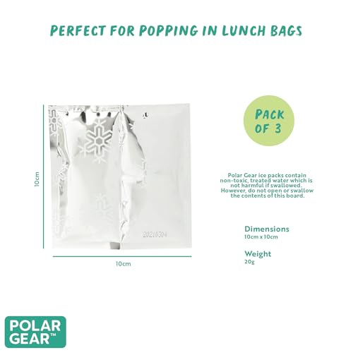 Polar Gear ice Pack, Silver and Blue, 10cmx10cm