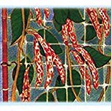 Filet porte-fruits en nylon maille 150 x 170 mm (H. 200 cm Bobines 1000)