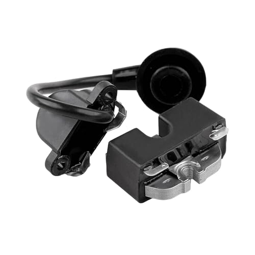 Bobine d'allumage 503154002 module haute tension pour séries 920 930