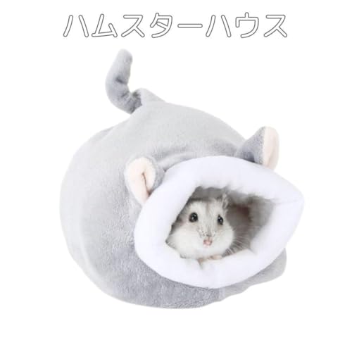  xbh Vo[ P[W  ybgpi g[ nX^[nEX