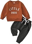 Toddler Baby Boy Outfit LITTLE DUDE Letter Long Sleeve Sweatshirts Long Pants Fall Spring Clothes