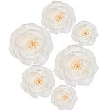 BEISHIDA 6 Pieces Paper Flower Decoration Supplies for Party,Wedding Decoration, Background Wall, Room Decor, Bridal Shower, Baby Shower (White)