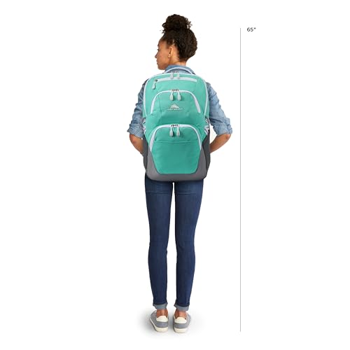 High Sierra Backpack with Laptop Protection - Now Only $13! - Image 3