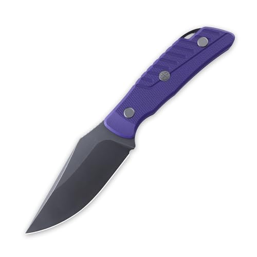 Petrified fish PFP16 Barracuda Fixed Blade Knife,3.86" N690 Steel Black Stonewashed Blade G10 Handle Pocket Knife for Camping Outdoor (Purple Black Stonewashed)