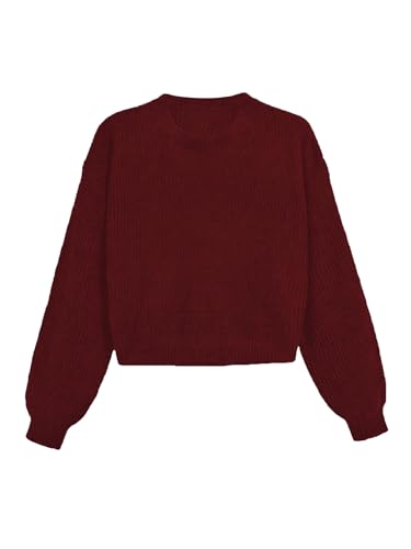 Image of WDIRARA Women's Plus Size Round Neck Long Sleeve Crop Sweater Ribbed Knit Pullovers