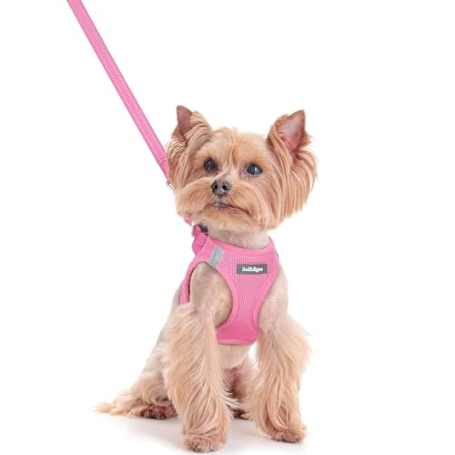 Image of rabbitgoo Dog Harness Small Sized and Leash Set, Step-in Puppy Pet Vest