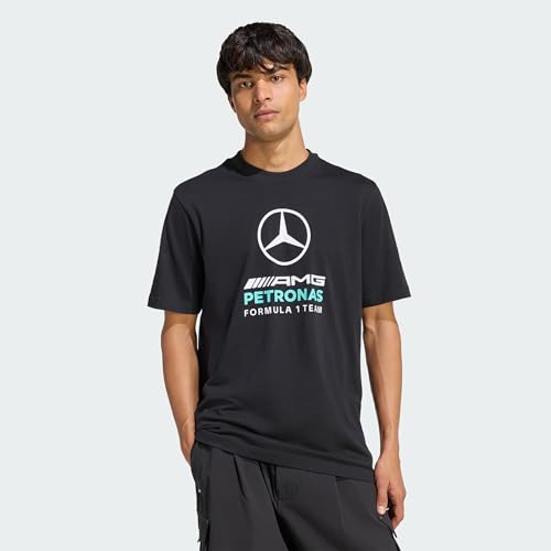adidas Men's Mercedes - AMG Petronas Formula 1 Team DNA Graphic TEE, Black/semi Mint Rush, L