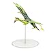 McFarlane - Avatar - World of Pandora Mountain Banshee - A1 Green Banshee