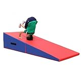 WAZHOU Foldable Incline Gymnastics Mat Cheese Wedge Skill Shape,Tumbling Mat for Aerobic Exercise, Gymnastics Training, Cheerleading, and Obstacle Rac(Blueish Red,150x75x36cm)
