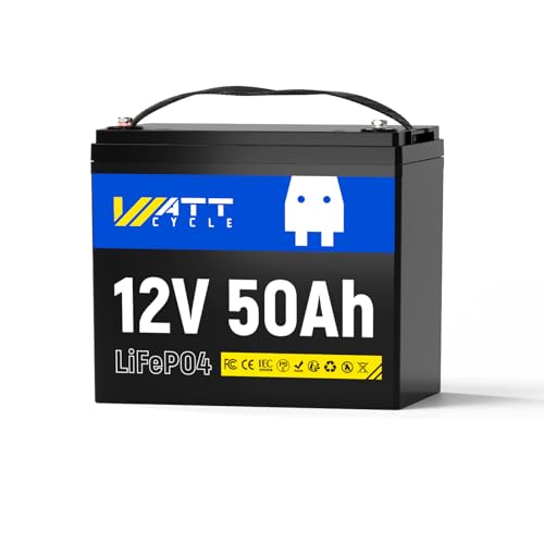 DC12V 12V　50A リン酸鉄リチウムイオンバッテリー　LiFePO4 Amazon.co.jp: Wattcycle 12V 50Ah LiFePO4 リン酸鉄リチウム
