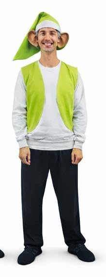 The Dragons Den Adults 7 Dwarfs Stag Party Festival Group Fancy Dress Costume [Green S-M] — image 1